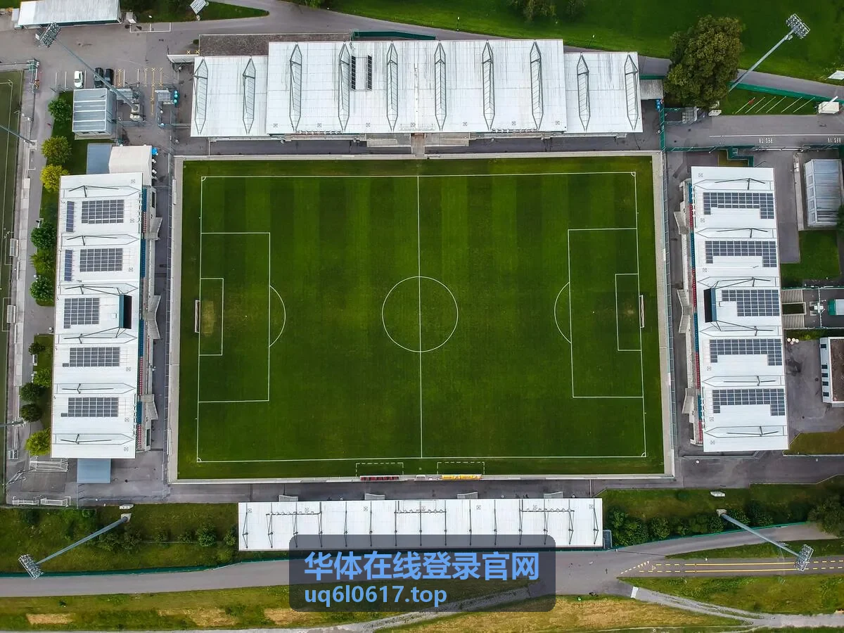华体在线登录官网登录前置自查要点配图